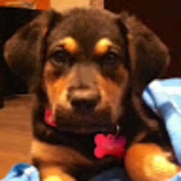 Meet your Posher, Sonja - Picture 1 of 1